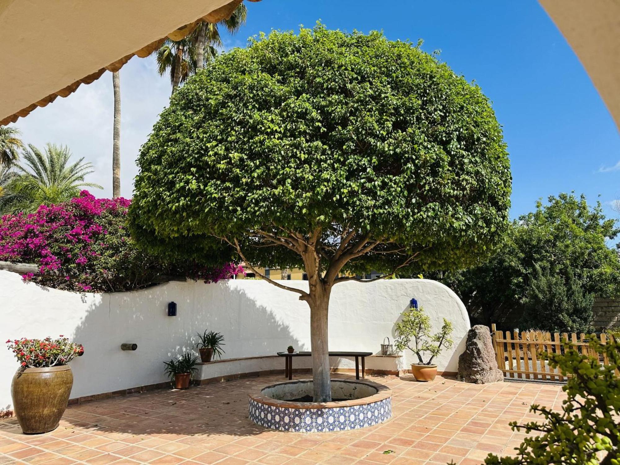 Villa Finca Ingala By Interhome Costa Adeje  Exterior photo